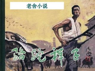 猫咪社区官网入口在线观看