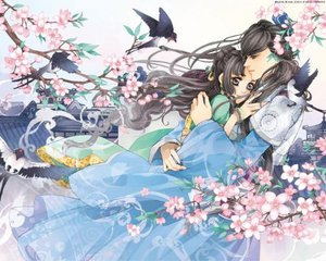 2022日本高清砖码区